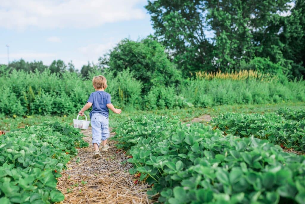 Earth Day For Kids | Kids Books, Projects & Crafts