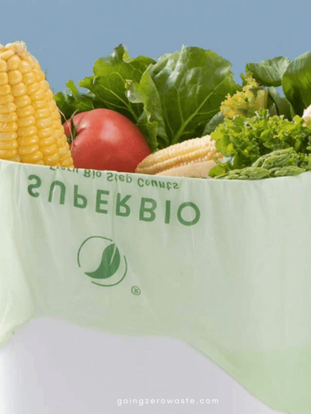 The Best Compostable Trash Bags Going Zero Waste