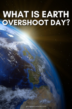 What is Earth Overshoot Day?