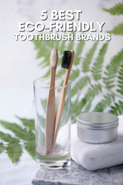 5-BEST-ECO-FRIENDLY-TOOTHBRUSH-BRANDS