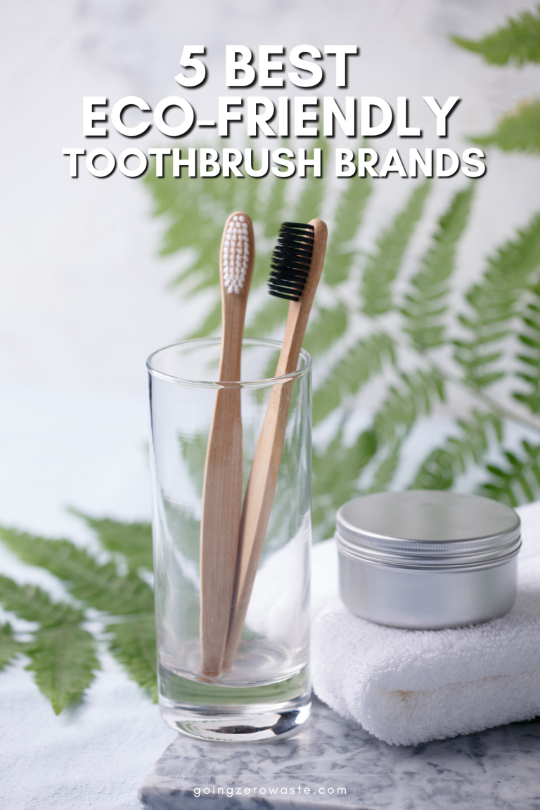 Why use an ecofriendly toothbrush? Going Zero Waste