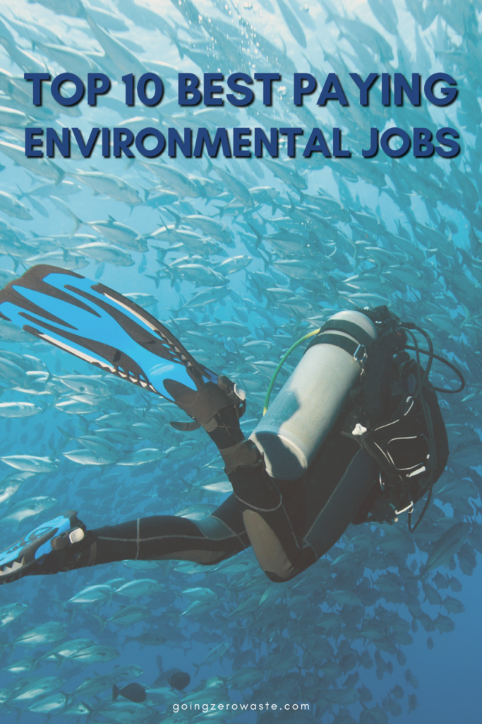 El trabajo de los 10 mejores ecologistas