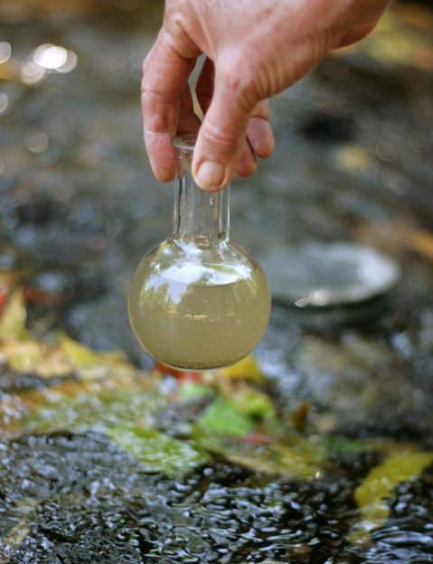 El trabajo de los 10 mejores ecologistas