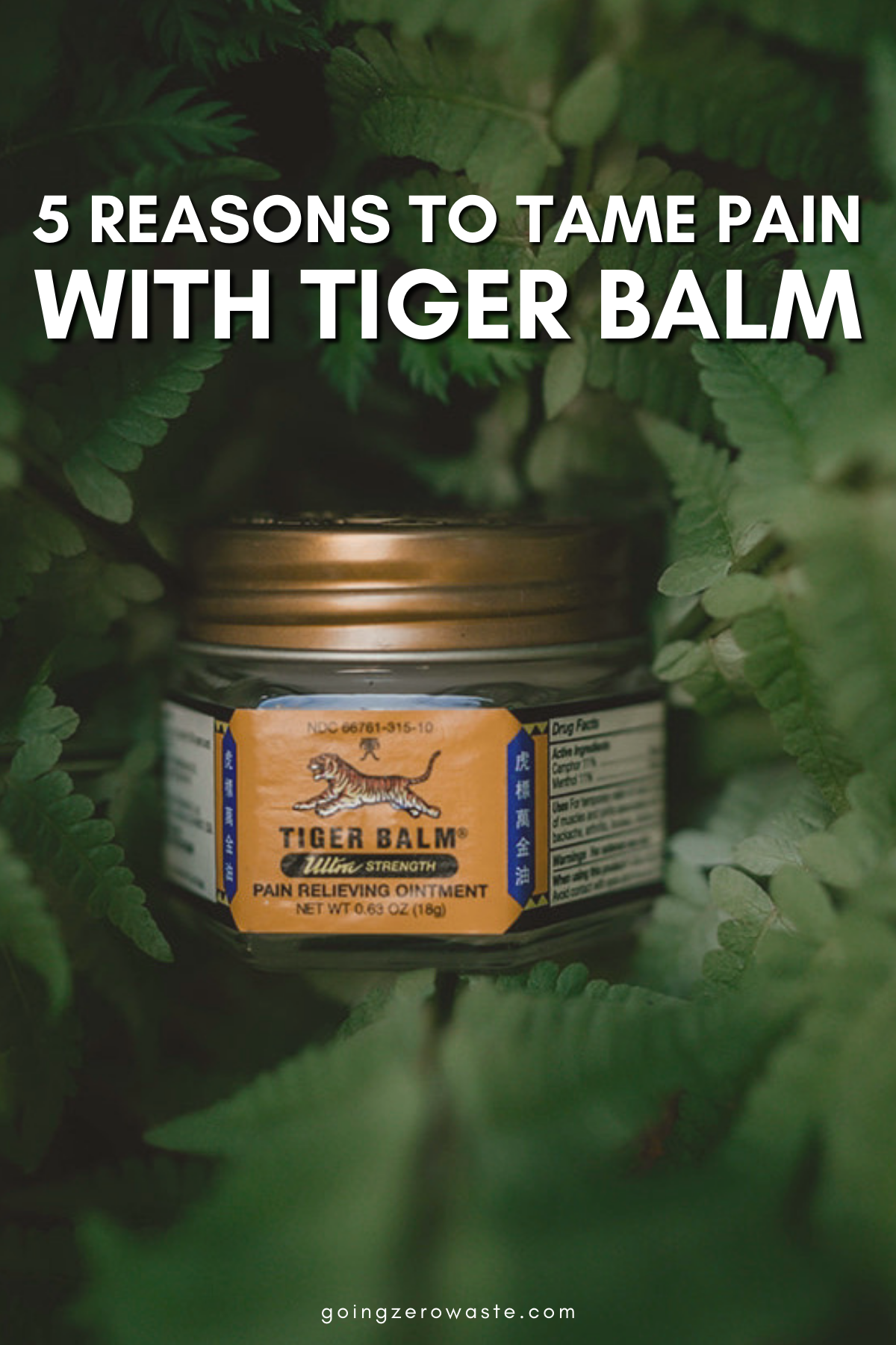 5 Reasons to Tame Pain with Tiger Balm Ointment - Going Zero Waste