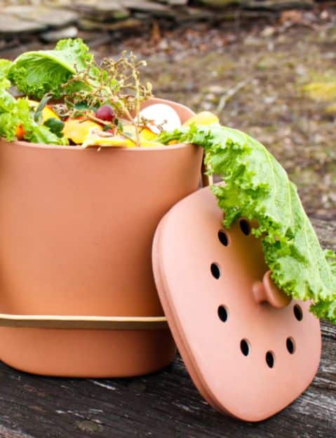 Aha! Design: A Compost Bin Built Into the Kitchen Counter