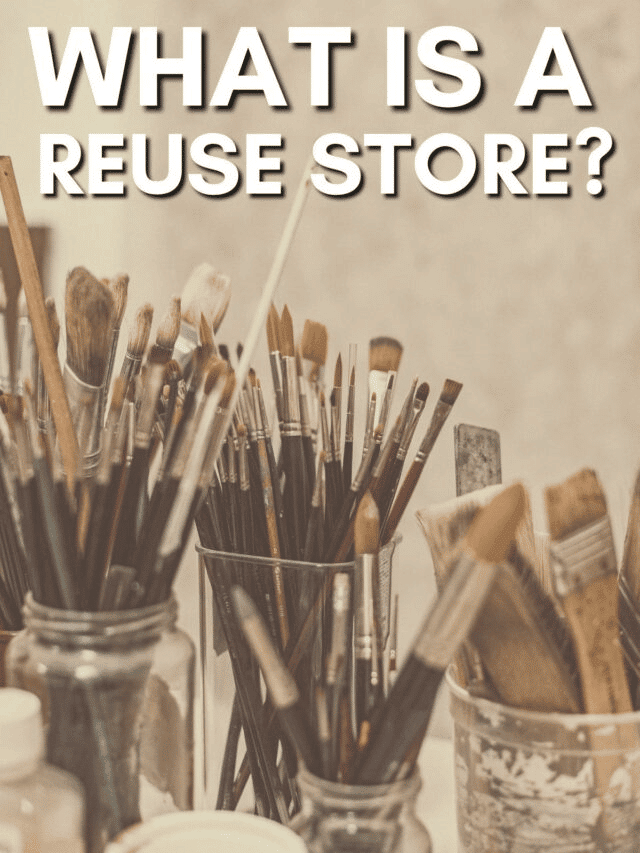 Reuse Stores What Are They + How Do They Work? Going Zero Waste