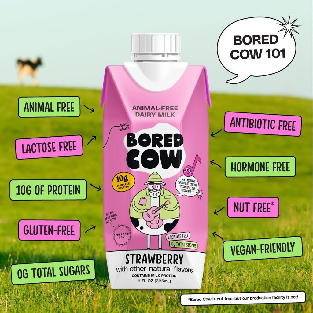 Reseña de Bored Cow: ¿Qué son los productos lácteos libres de animales? ¿Deberías probarlos?