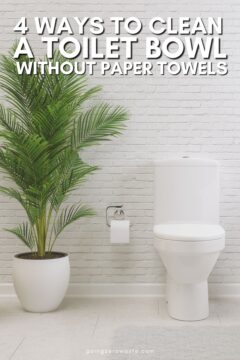 How to Clean a Toilet Bowl Without Paper Towels 