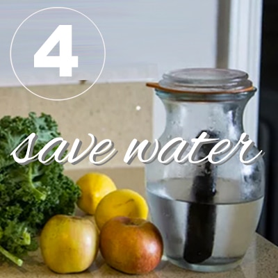 photo of water pitcher and filter next to fresh produce with 'save water' in text - an image to represent water waste solutions in the home