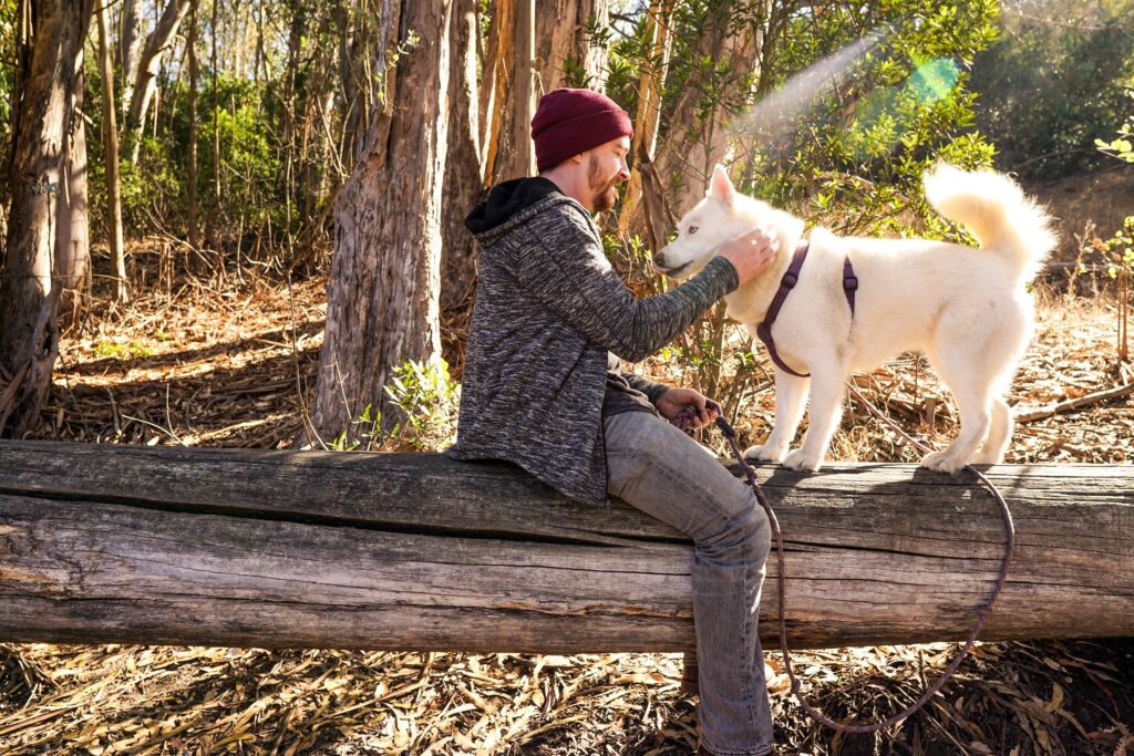 a man and his dog with their hiking backpack essentials on a fallen tree.