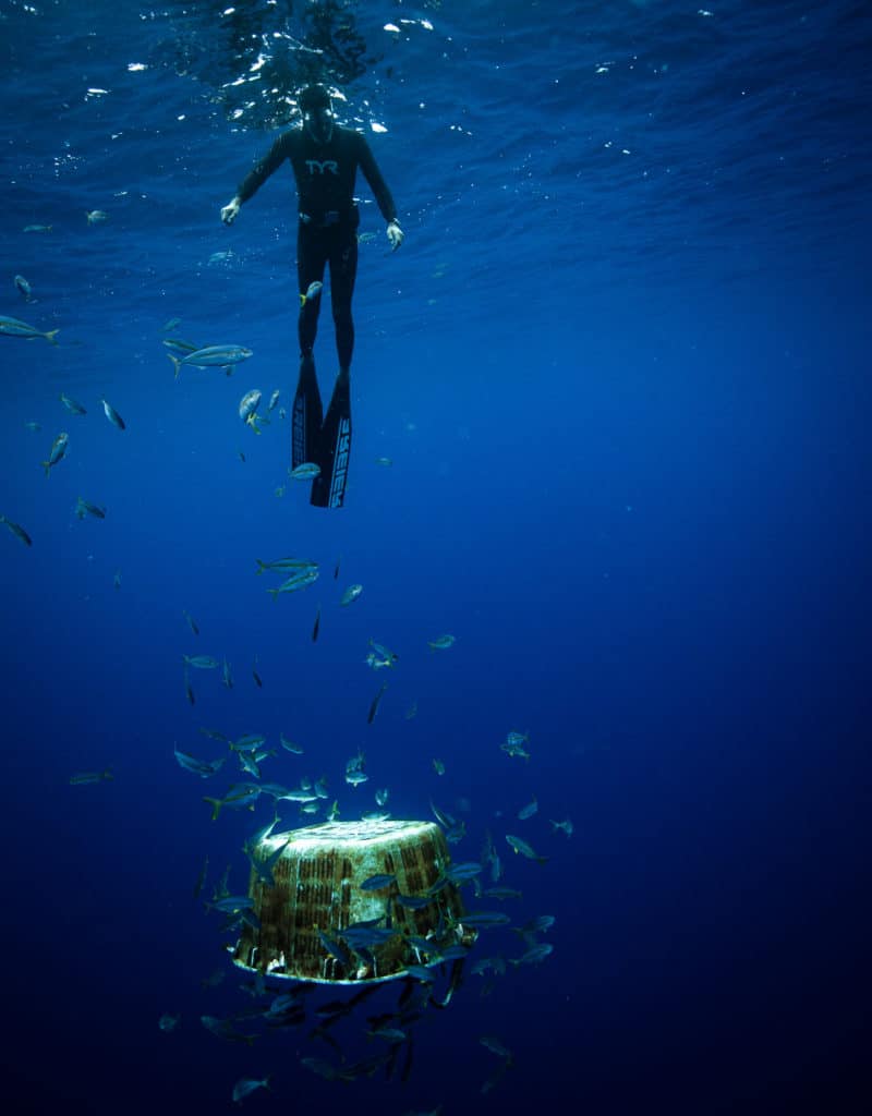 Plastic pollution in the ocean being used by fish for shelter