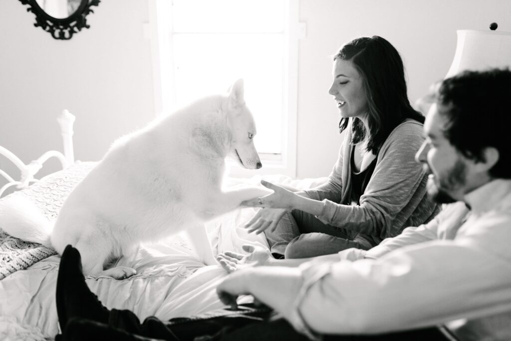 A woman, man, and their dog sitting on a sustainable mattress