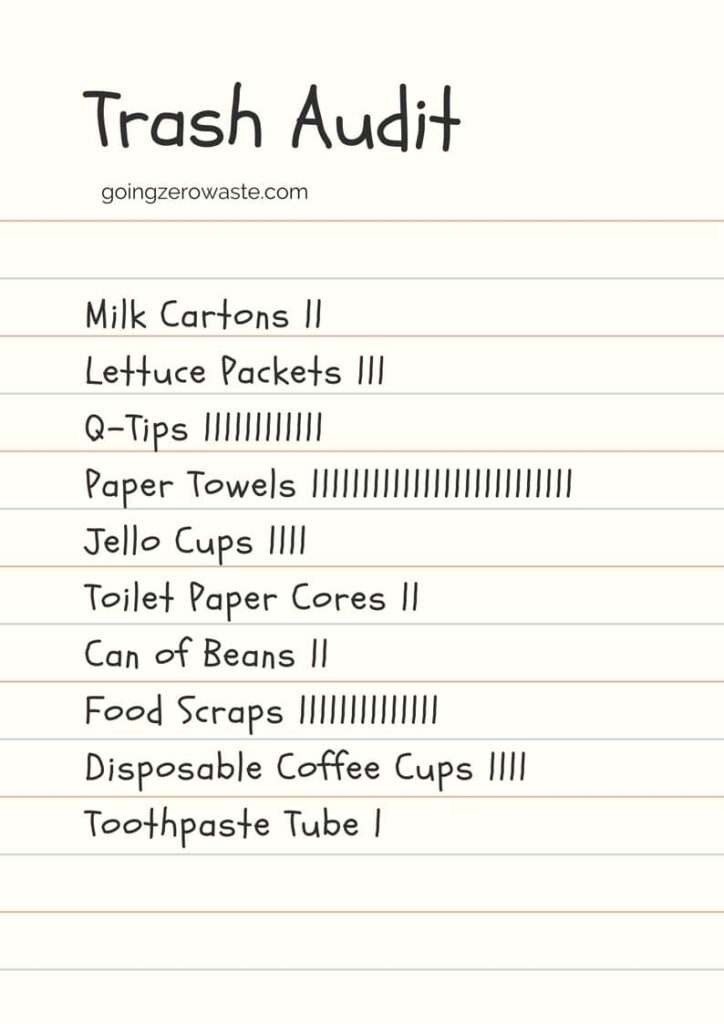 an audit example showing how to reduce waste by cataloging what you throw away