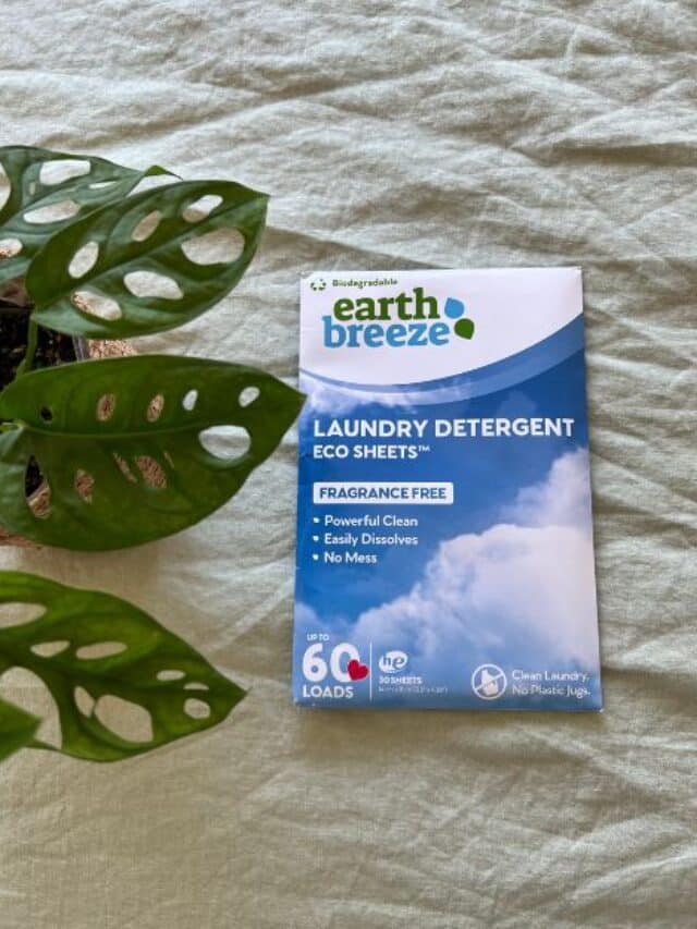 Earth Breeze Review: Laundry Eco Sheets