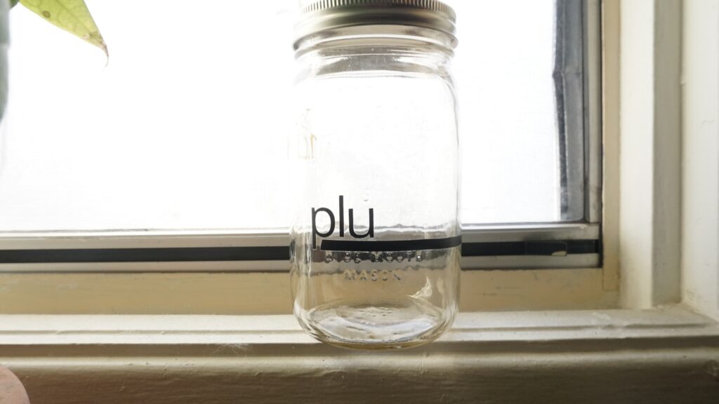 A jar on a windowsill demonstrating PLU (price look up) for eco friendly shopping.