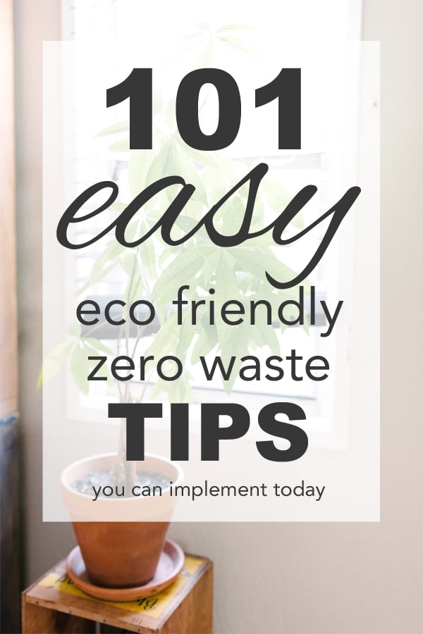 image of a potted plant with overlay text reading "101 easy eco friendly zero waste tips you can implement today"