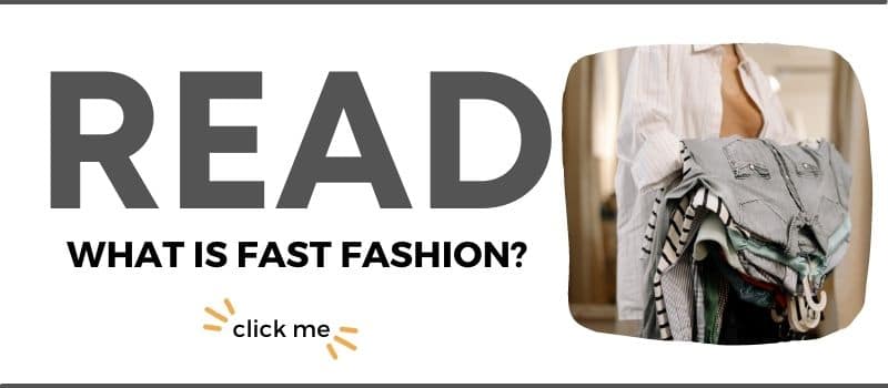 a clickable link to an article about fast fashion in a post about shopping second hand stores online first.