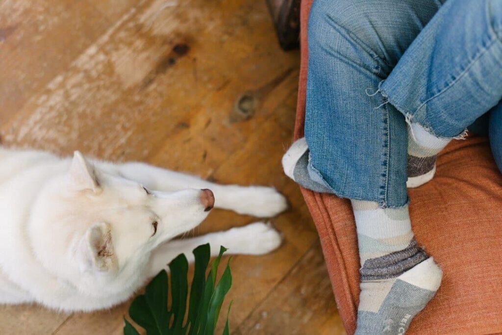 Top view of a woman's crossed feet as she reads on a chair and a dog at her feet.