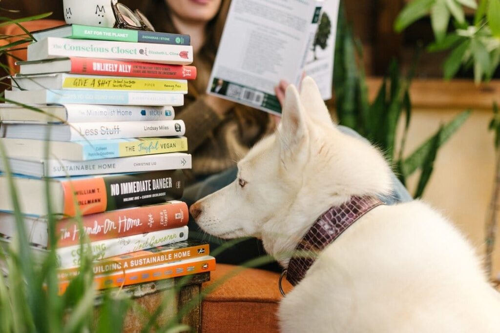 Large white dog inspecting a stack of sustainable books with a woman reading in the background.