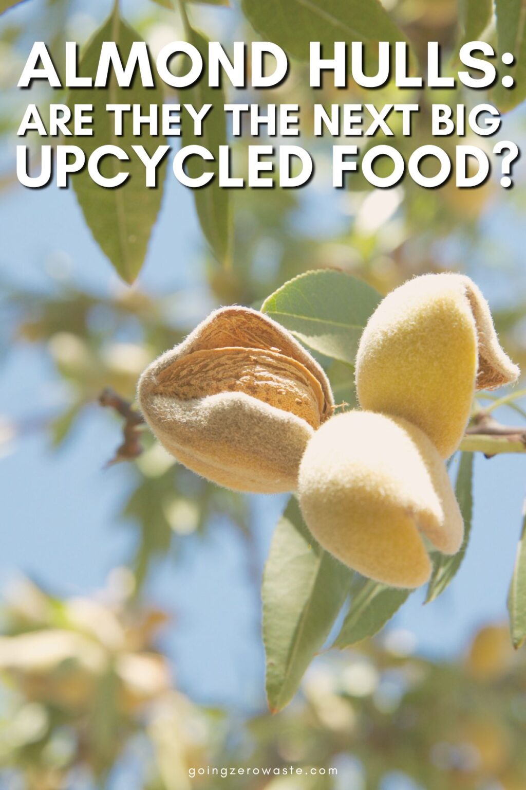 Why Almond Hulls Will Be The Next Big Upcycled Food Going Zero Waste