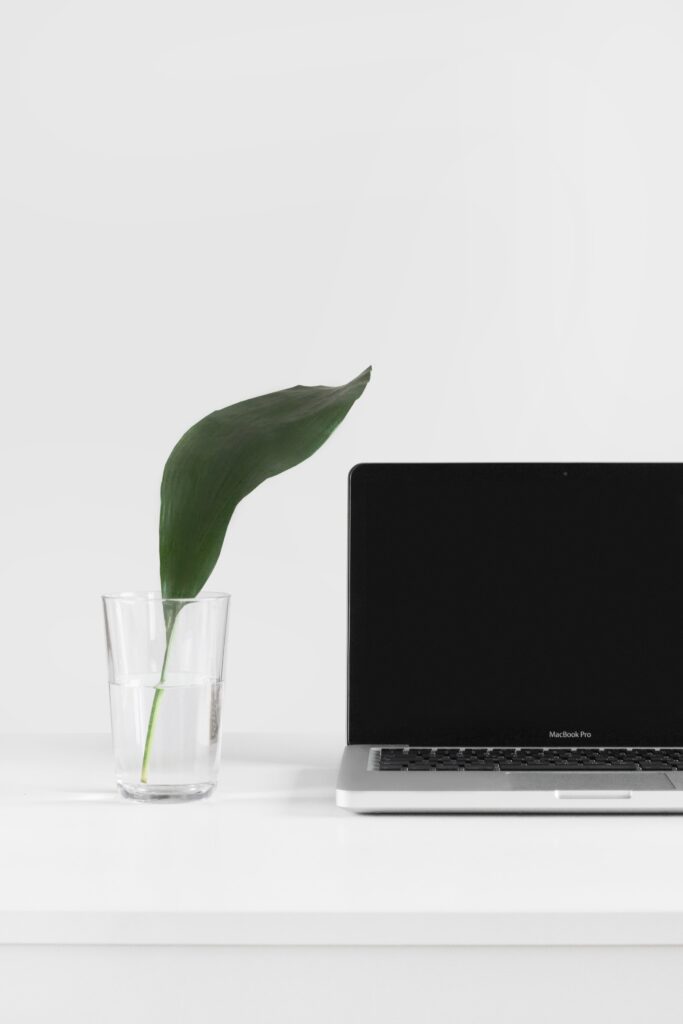 photo of a large green leaf in a glass of water and a MacBook Pro to illustrate sustainability at work.