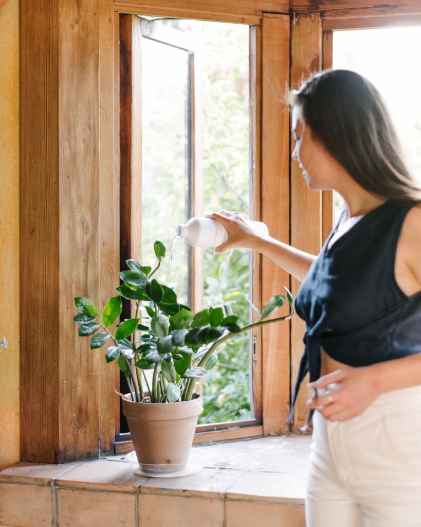 Woman watering a plant with a reusable water bottle in a post about easy sustainable swaps. 