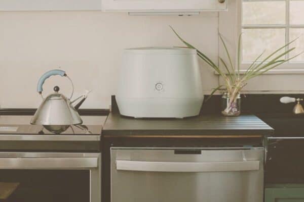 5 Reasons to Love Lomi + How to Use It