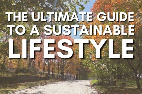The Ultimate Guide to Sustainable Living