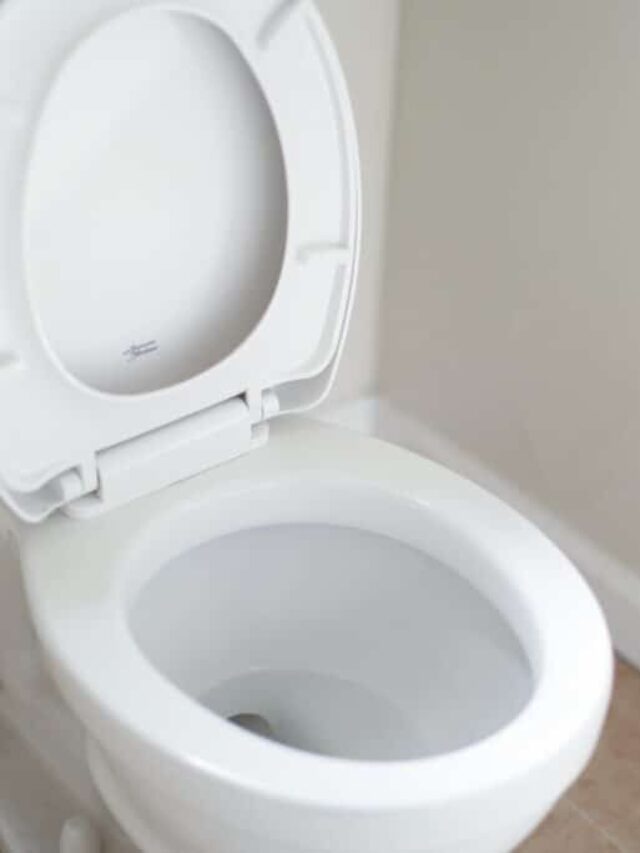 4 Ways To Clean A Toilet Without Paper Towels Going Zero Waste