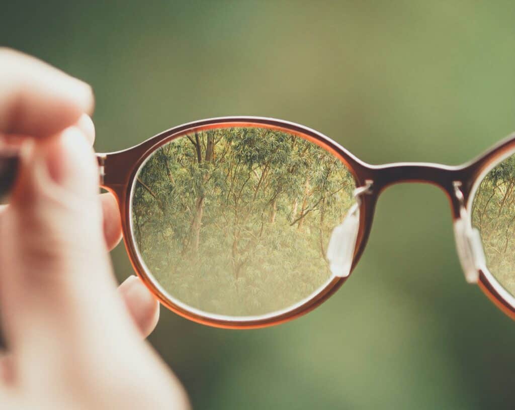 A photo of glasses with trees in focus in the frames to illustrate how to repair glasses