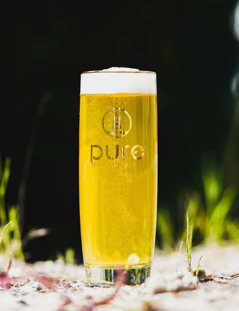 pure project brewing