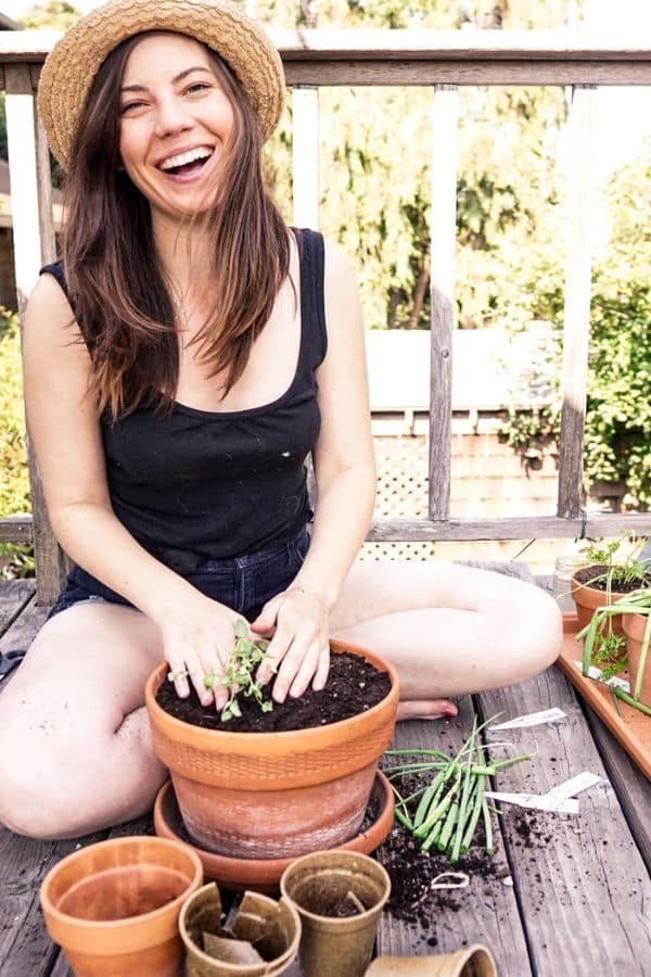 Woman potting plants for window planting