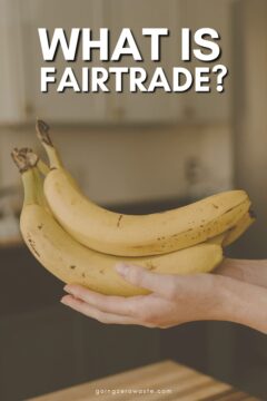 What is Fairtrade? Is It Sustainable? What Is Fairtrade? Is It Sustainable?
