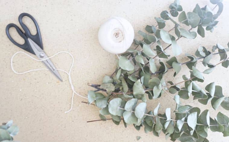 String, scissors, and eucalyptus to show how to use eucalyptus plant in shower 