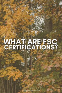 FSC Certifications: What Are They + Are They Sustainable? FSCCERTIFICATIONS