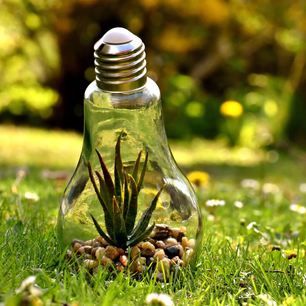 Can You Recycle Lightbulbs?