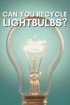 Can You Recycle Lightbulbs?