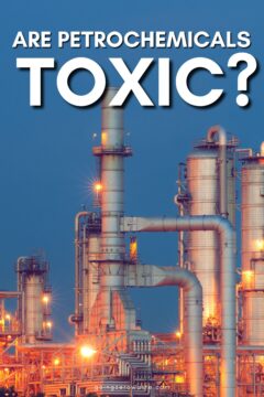 Petrochemicals: How They Affect People + Planet Petrochemicals: How They Affect People + Planet