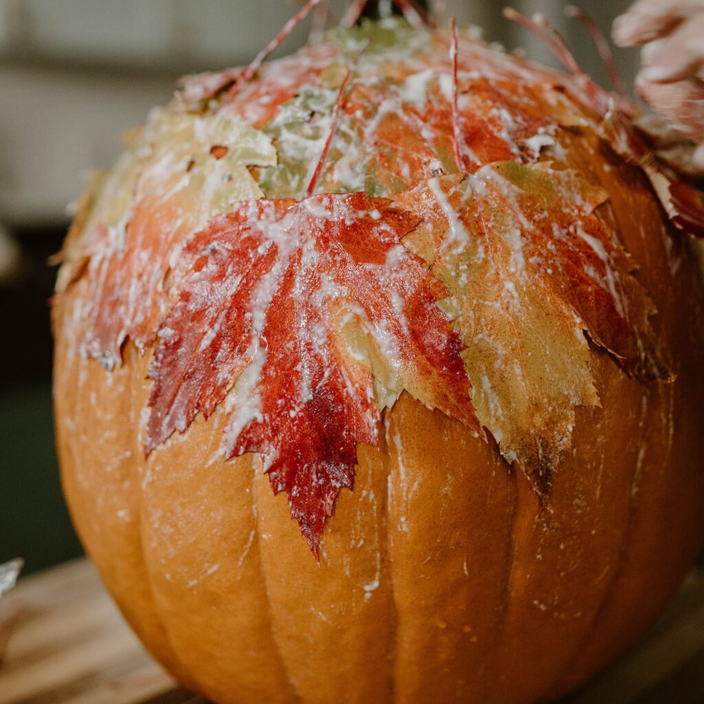 6 Whimsical Fall Activities To Get You Off Your Screen 