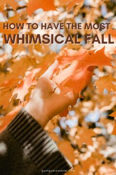 6 Whimsical Fall Activities To Get You Off Your Screen 6 Whimsical Fall Activities To Get You Off Your Screen